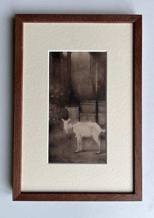 Jan Mankes (1889-1920) - Oude geit, Antiek en Kunst, Antiek | Overige Antiek