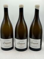 2023 Sancerre - Vincent Gaudry Tournebride - Sancerre - 3, Verzamelen, Nieuw