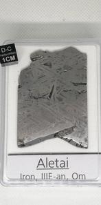 Aletai. Verzamelbox (zonder startprijs) IJzer meteoriet -