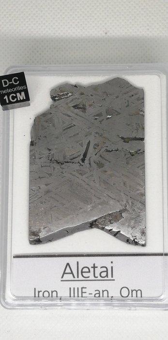 Aletai. Verzamelbox (zonder startprijs) IJzer meteoriet -, Collections, Minéraux & Fossiles