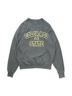 Vintage Colorado State grijs College trui maat S, Vêtements | Hommes, Pulls & Vestes, Ophalen of Verzenden