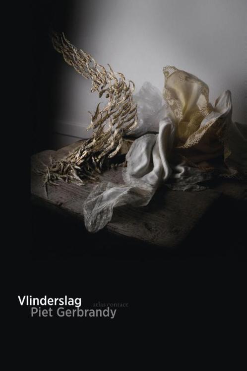 Vlinderslag 9789025442026 Piet Gerbrandy, Boeken, Overige Boeken, Gelezen, Verzenden