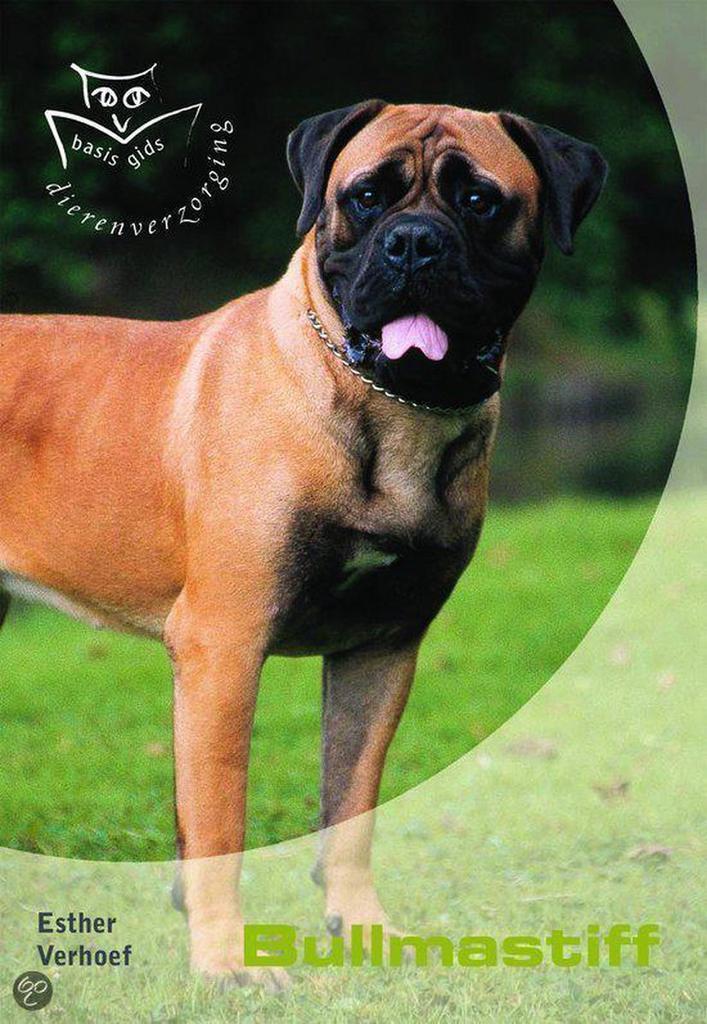 Bullmastiff / Basisgids dierenverzorging 9789058411228, Boeken, Hobby en Vrije tijd, Gelezen, Verzenden