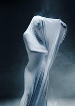 Cédric Brion - Drapé II, Antiek en Kunst