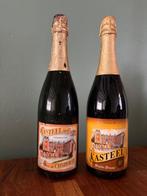 Vanhonsebrouck - Kasteelbier 1993 & 2009 - 75cl -  2 flessen, Verzamelen, Nieuw