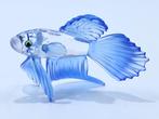 Figuur - Swarovski - Siamese Vechtvis Blauw (Boxed) -