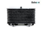 Oliekoeler BMW R 1200 R 2006-2010 (R1200R 06), Motoren, Onderdelen | BMW, Verzenden, Gebruikt