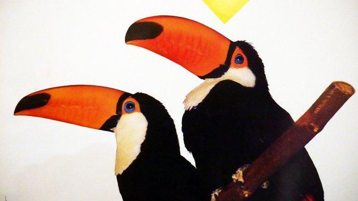 Paul Funken - Nationale ZOO Antwerpen Wereldvermaard - Jaren, Antiek en Kunst, Kunst | Tekeningen en Fotografie