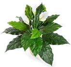 Kunstplant Lepelplant Wit 70 cm, Huis en Inrichting, Kamerplanten, Verzenden