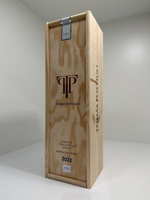 2022 Tomas Postigo - Ribera del Duero - 1 McKenzie (5,0 L), Verzamelen, Wijnen