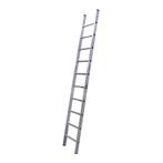 ALX XD professionele enkele ladder, Nieuw, Verzenden