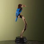 IJsvogel Taxidermie volledige montage - Halcyon smyrnensis -, Verzamelen, Nieuw