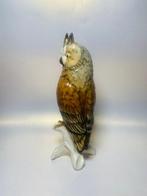 Karl Ens, Volkstedt - Figurine - Long eared Owl - Porcelaine