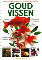 Goudvissen 9789059203679 Bernice Brewster, Verzenden, Gelezen, Bernice Brewster