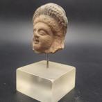 Het oude Egypte, Grieks-Romeinse periode Terracotta Hoofd