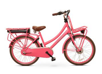 Antilope Cargo Plus N3  Elektrische Transportfiets 24 Inch beschikbaar voor biedingen