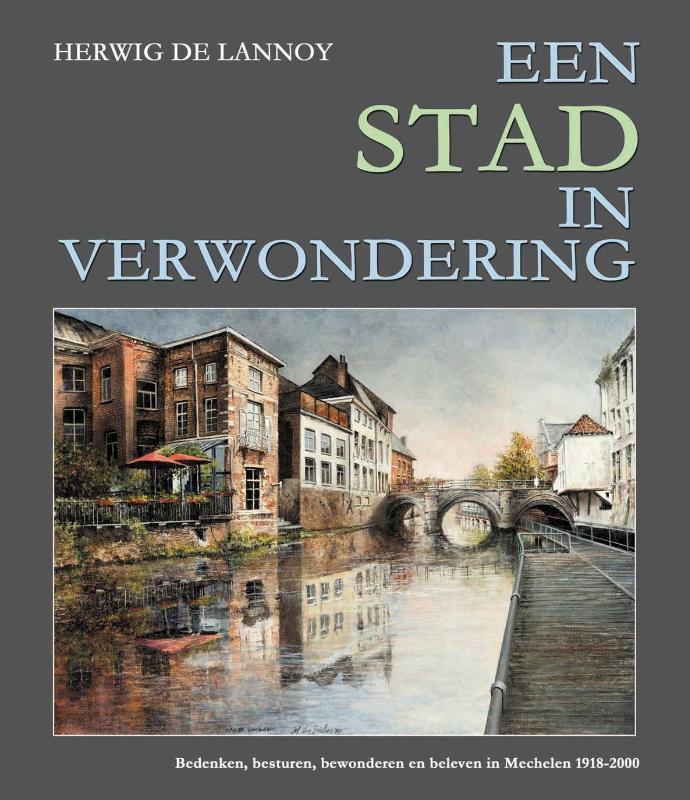 Een stad in verwondering 9789463883771 Herwig de Lannoy, Boeken, Geschiedenis | Stad en Regio, Zo goed als nieuw, Verzenden