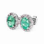 Zonder minimumprijs - Oorbellen - 14 karaat Zambia, Witgoud, Nieuw