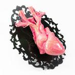 Anatomisch model - Hars - 2025 - Anatomisch hartmodel