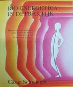 Bio-energetica in de praktyk 9789062716357 Schwieger, Boeken, Verzenden, Gelezen, Schwieger