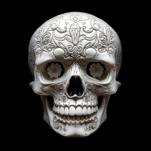 Artxlife - White Leather Skull [XXL], Antiek en Kunst, Antiek | Boeken en Manuscripten