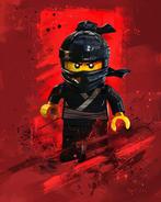 Shayer - NinjaGo - Cole Elemental Master - XL - 60x80cm, Kinderen en Baby's, Nieuw