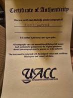 Boxing - Ricky Hatton - Bokshandschoen, Verzamelen, Overige Verzamelen, Nieuw