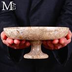 Fossiele fragmenten - Oude mariene organismen, centrumtafel,