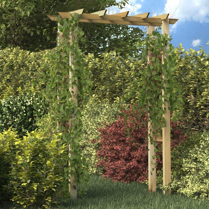 vidaXL Rozenboog 150x60x204 cm geïmpregneerd hout, Tuin en Terras, Palen, Balken en Planken, Nieuw, Verzenden
