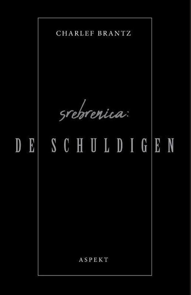 Srebrenica 9789463389020 Charlef Brantz, Boeken, Geschiedenis | Wereld, Gelezen, Verzenden