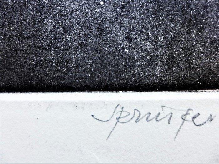 Ferdinand Springer (1907-1998) - Plante lunaire, Antiek en Kunst, Antiek | Overige Antiek