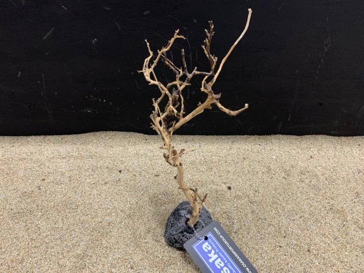 Osaka Bonsai Tree nr 7 - 15x9x27cm - aquascaping boom, Dieren en Toebehoren, Vissen | Aquaria en Toebehoren, Plant(en), Steen of Hout