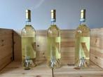 2024 Ceretto Langhe Arneis Magnum - Langhe - 3 Magnums, Nieuw