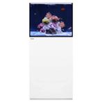 WaterBox MARINE X 60.2 Wit, Dieren en Toebehoren, Vissen | Aquaria en Toebehoren, Verzenden, Nieuw