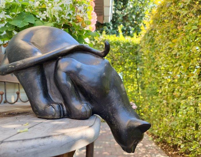 Beeldje - Curious cat - Hars, Antiek en Kunst, Curiosa en Brocante