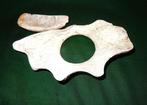 monnaie en coquillage traditionnelle - Erromango - Kanak -