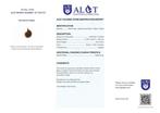 Geen reservering - ALGT gecertificeerd - Grote en exclusieve