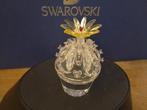 Swarovski - Beeldje - Cactus bloeiend 291549 - Boxed +