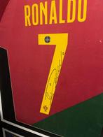 Portugees Nationaal Team - Europese voetbal competitie -, Nieuw