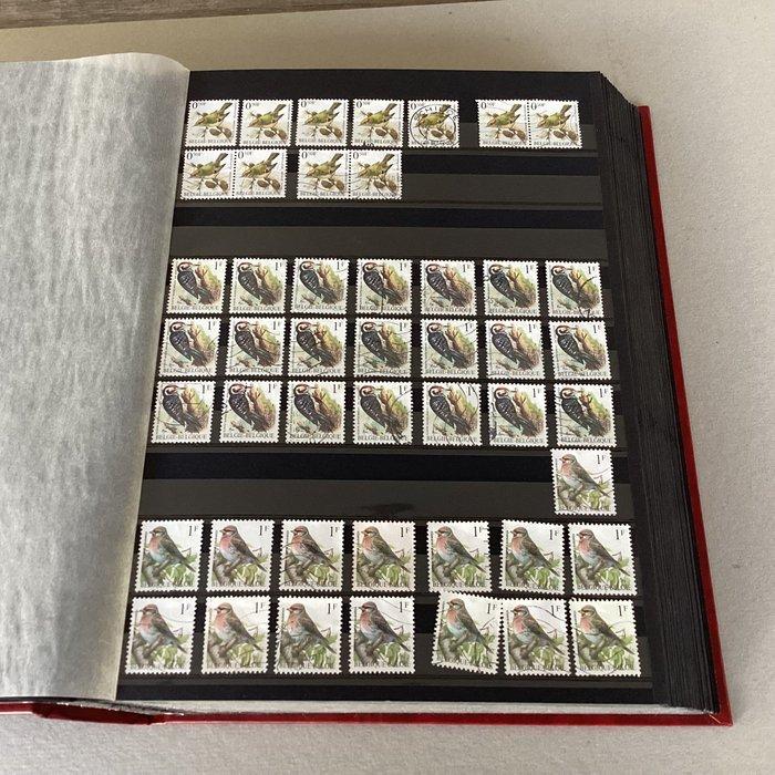 België - Mooie verzameling Buzin gestempeld - OBP, Postzegels en Munten, Postzegels | Europa | België