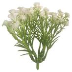 Gipskruid cluster 10 cm kunstbloem. grote zak +/- 24 st voor, Nieuw