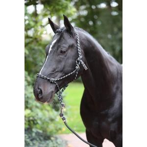 Licol corde noir / gris  pony, Dieren en Toebehoren, Paarden en Pony's | Overige Paardenspullen