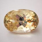 Zonder minimumprijs Spodumeen - 16.47 ct - Antwerp