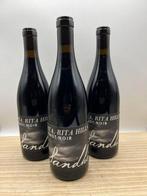 2021 Sandhi STA. Rita Hills Pinot Noir - Santa Barbara - 3, Verzamelen, Wijnen, Nieuw