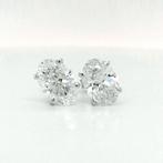 Sans Prix de Réserve - Boucles doreilles - 18 carats Or, Nieuw