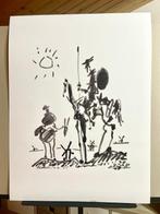 Pablo Picasso - Don Quixotte (1955) - Jaren 2010