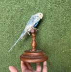 Perruche Support de corps entier pour taxidermie -, Verzamelen, Nieuw