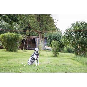Set tuinlijn, looplijn 15m + showlijn 3m + trekontlasting -, Animaux & Accessoires, Accessoires pour chiens