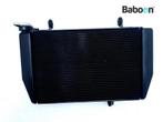 Radiateur Ducati Multistrada 950 S 2019-2021, Motoren, Onderdelen | Ducati, Verzenden, Gebruikt