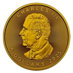 Canada. 5 Dollars 2025 1 oz Maple Real Leaf Canada Flag 24k, Postzegels en Munten